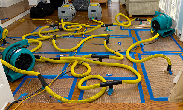 Professional Water Extraction technician working in Hankamer, TX